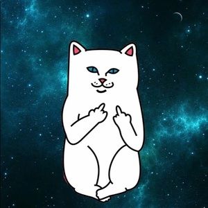 Meet your Posher, Stella